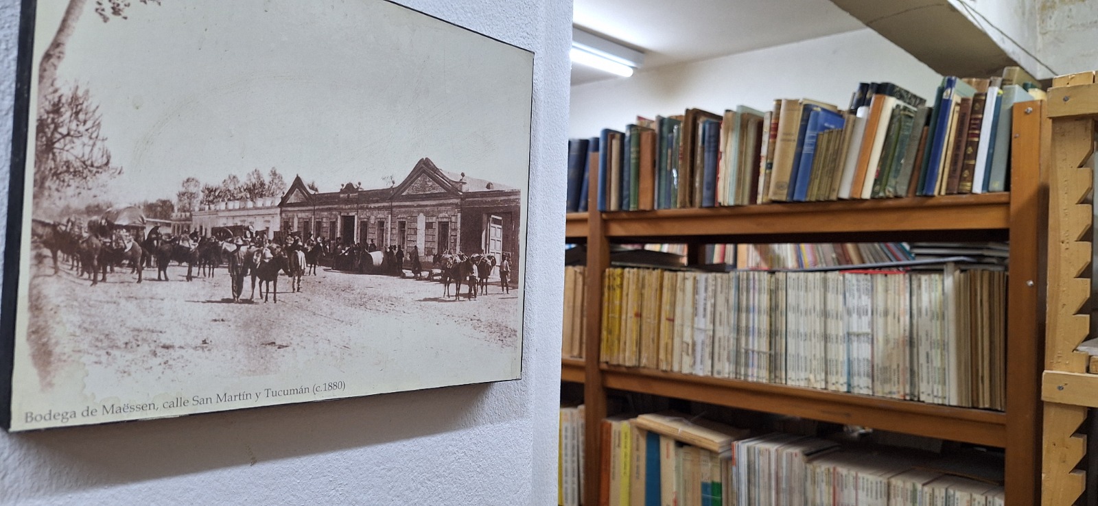 Museo de Historia Natural de San Rafael Organiza Jornada Gratuita por el Día del Libro