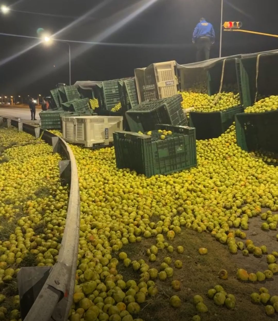 Camión vuelca en ruta 188 de General Alvear por falla mecánica; conductor ileso
